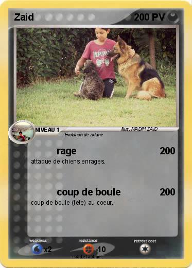 Pokemon Zaid