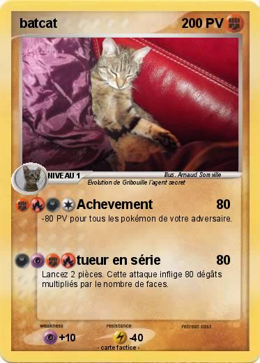 Pokemon batcat