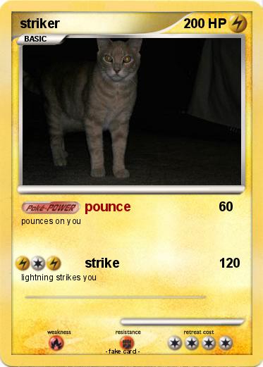 Pokemon striker