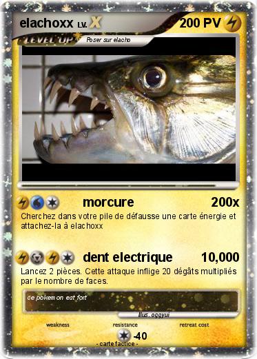 Pokemon elachoxx