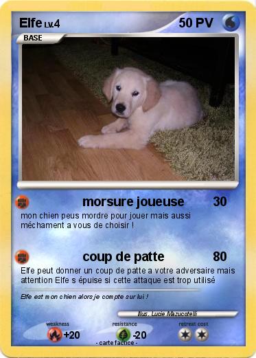 Pokemon Elfe