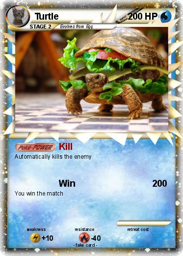 Pokemon Turtle