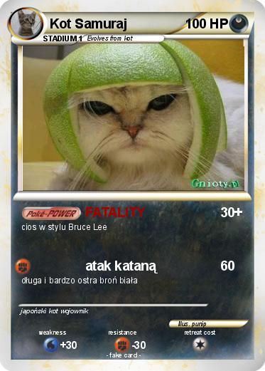 Pokemon Kot Samuraj