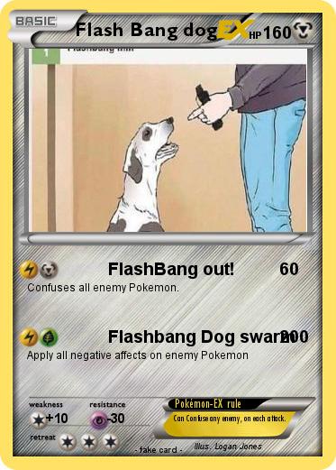 Pokemon Flash Bang dog