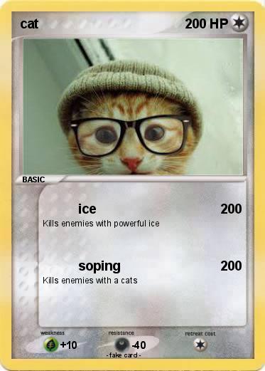 Pokemon cat