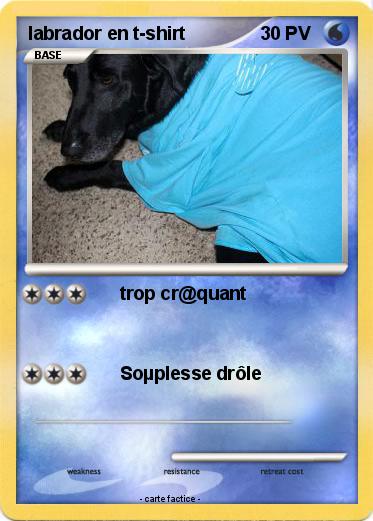 Pokemon labrador en t-shirt