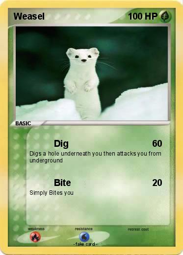Pokemon Weasel