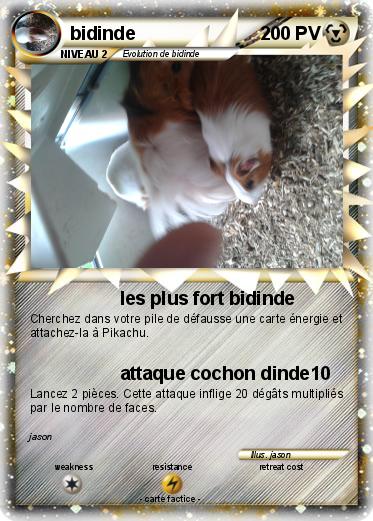 Pokemon bidinde