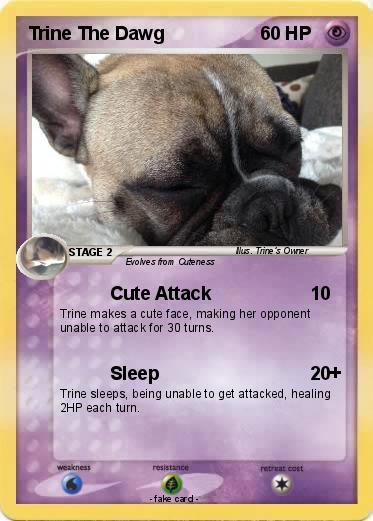 Pokemon Trine The Dawg