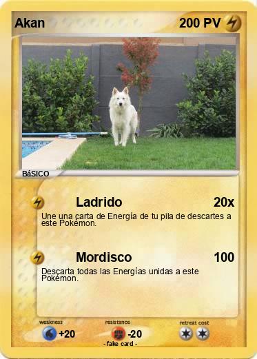Pokemon Akan