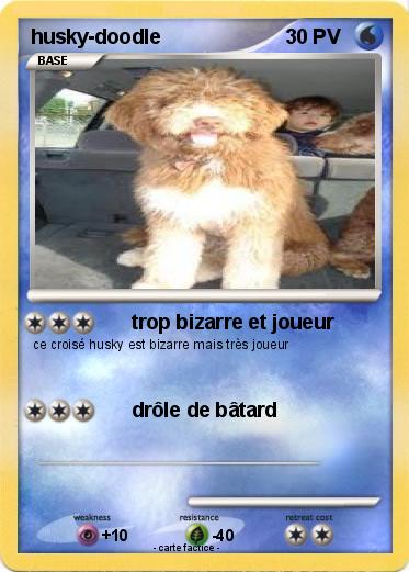 Pokemon husky-doodle