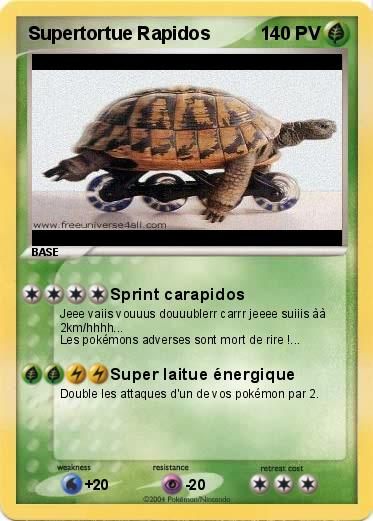 Pokemon Supertortue Rapidos