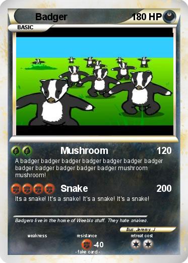 Pokemon Badger