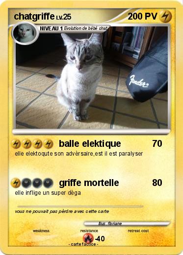 Pokemon chatgriffe