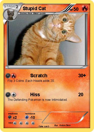 Pokemon Stupid Cat