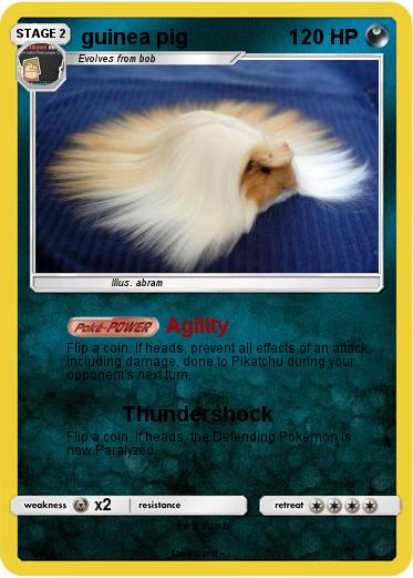 Pokemon guinea pig