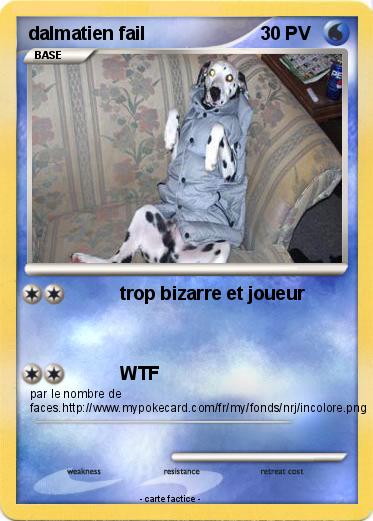 Pokemon dalmatien fail