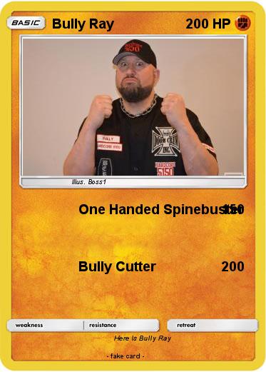 Pokemon Bully Ray