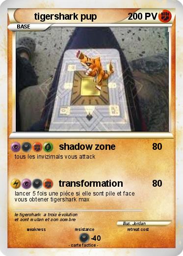 Pokemon tigershark pup