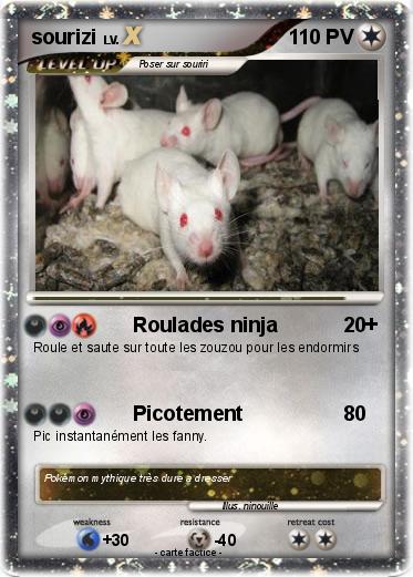 Pokemon sourizi