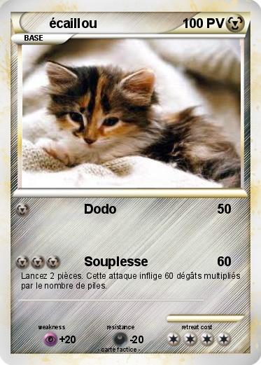 Pokemon écaillou