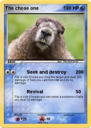 Pokemon The chose one