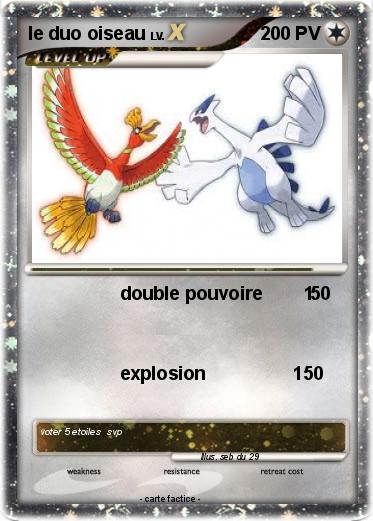 Pokemon le duo oiseau