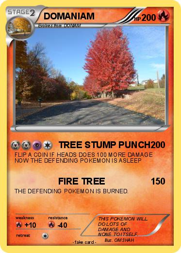 Pokemon DOMANIAM