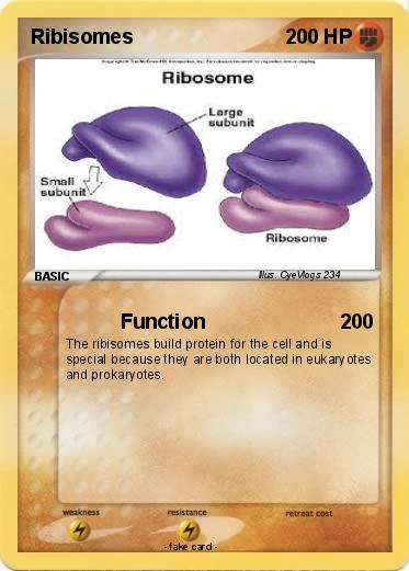 Pokemon Ribisomes
