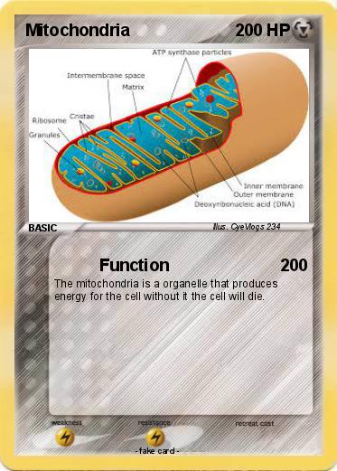 Pokemon Mitochondria