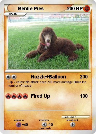Pokemon Bentie Pies