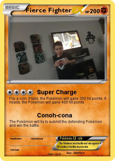 Pokemon Fierce Fighter