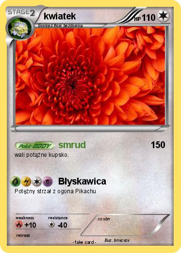 Pokemon kwiatek
