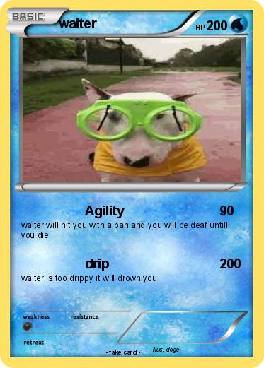 Pokemon walter