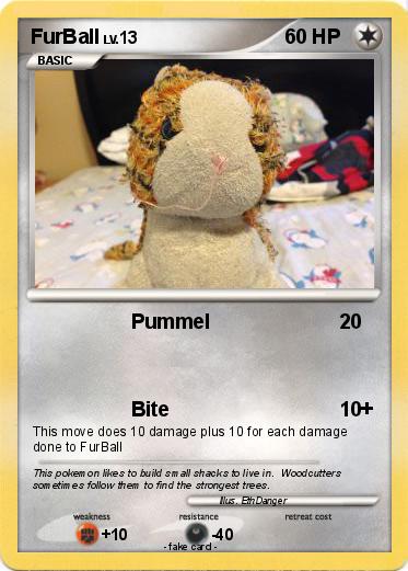 Pokemon FurBall