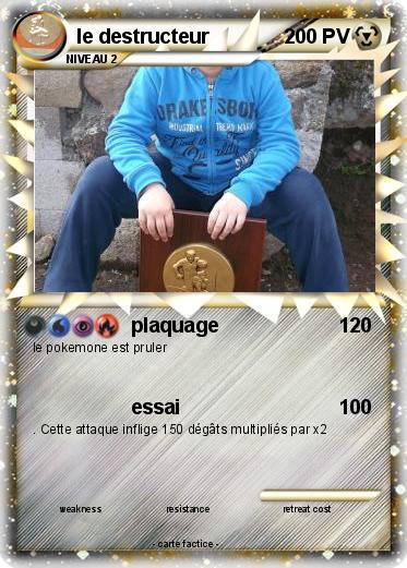 Pokemon le destructeur