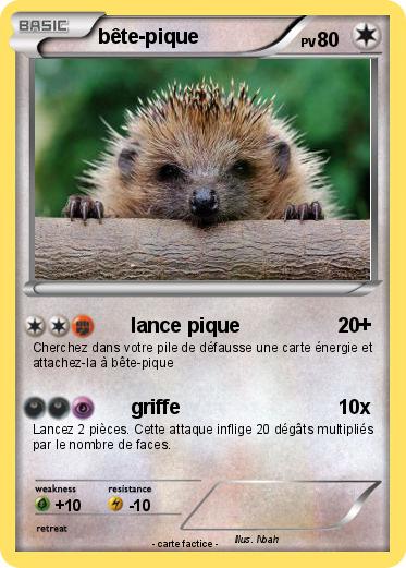 Pokemon bête-pique