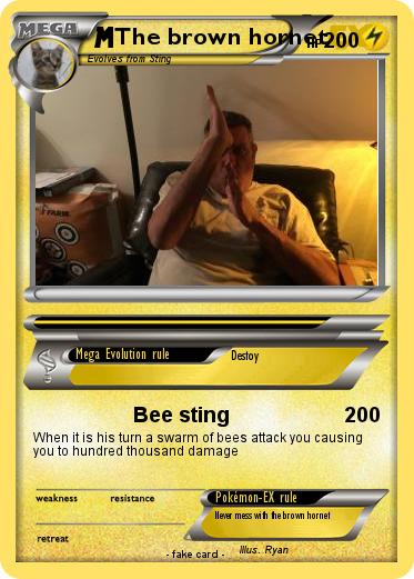 Pokemon The brown hornet