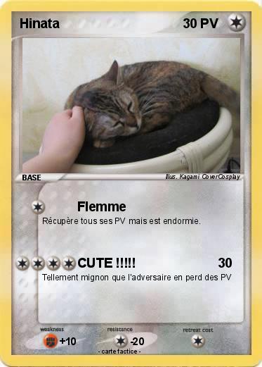 Pokemon Hinata