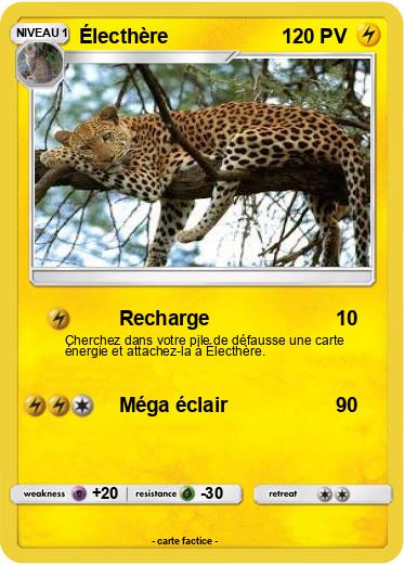 Pokemon Électhère