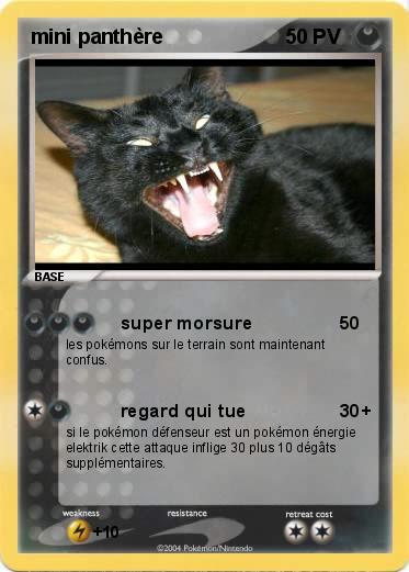 Pokemon mini panthère
