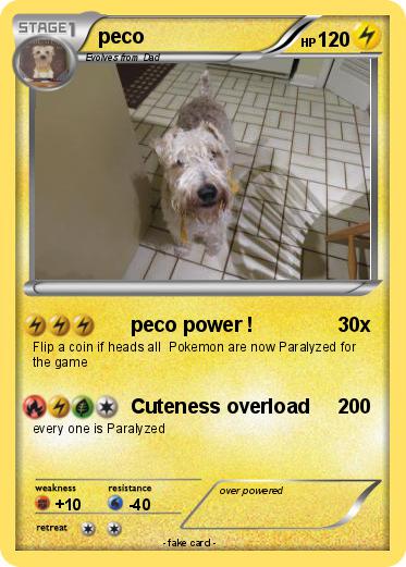 Pokemon peco