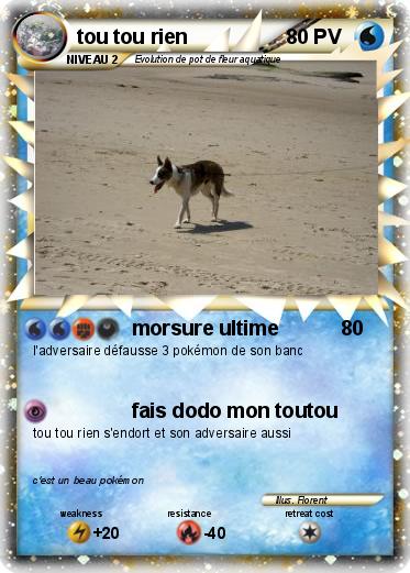 Pokemon tou tou rien