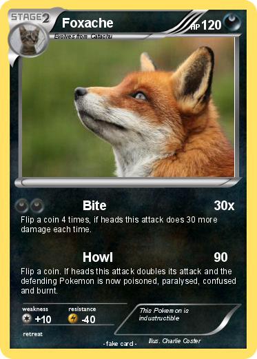 Pokemon Foxache