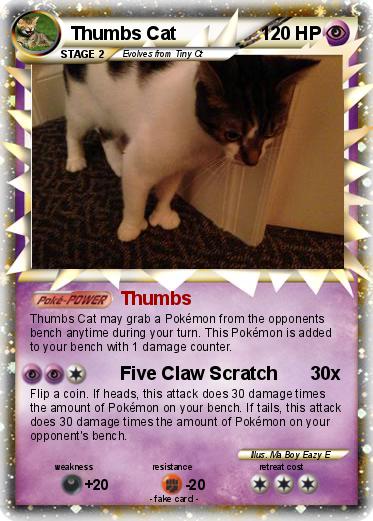 Pokemon Thumbs Cat