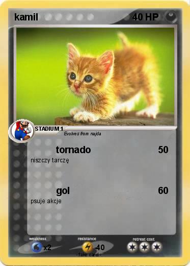 Pokemon kamil