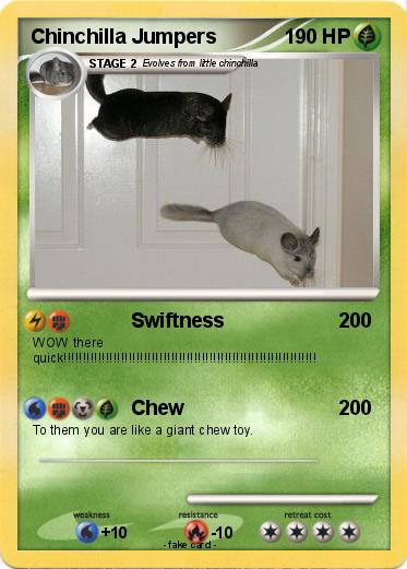 Pokemon Chinchilla Jumpers