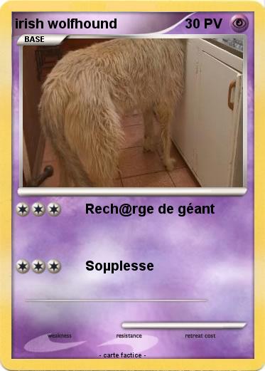 Pokemon irish wolfhound