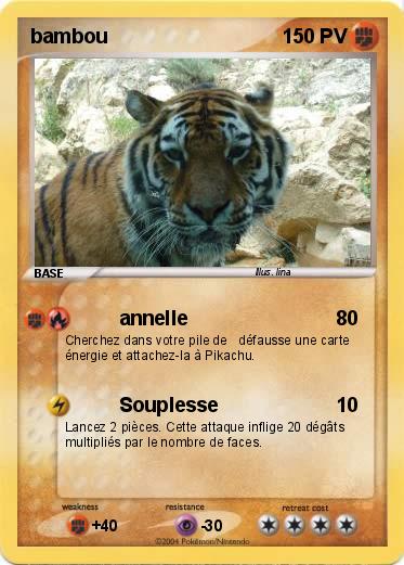 Pokemon bambou