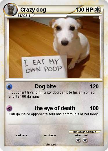 Pokemon Crazy dog